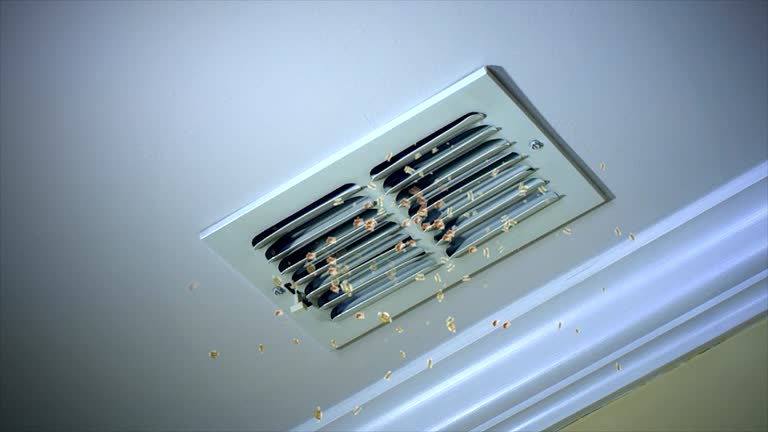 Home Air Vent Cleaning in CA